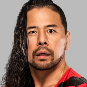 تصویر هنرمند Shinsuke Nakamura