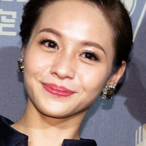 تصویر هنرمند Huang Peijia