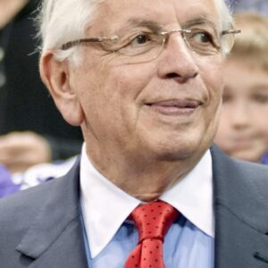 تصویر هنرمند David Stern