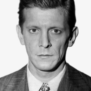 تصویر هنرمند Joe Turkel