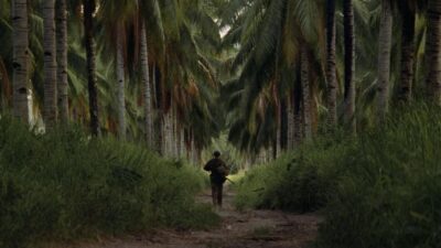 Teaser for The Thin Red Line