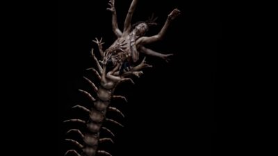 Teaser for The Human Centipede 2 (Full Sequence)