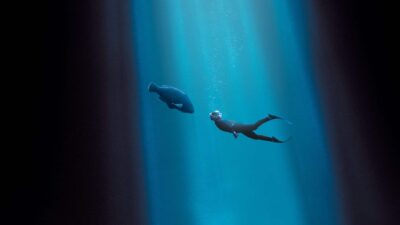 Teaser for Blueback