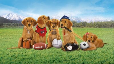Teaser for Air Buddies