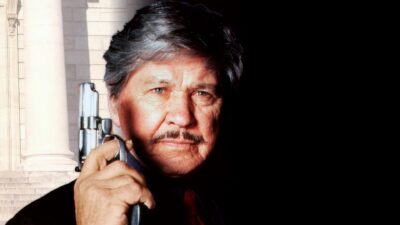 Teaser for Death Wish V: The Face of Death
