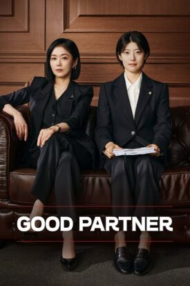 پوستر رسمی سریال Good Partner (2024)