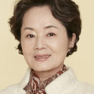 تصویر هنرمند Kim Young-ae