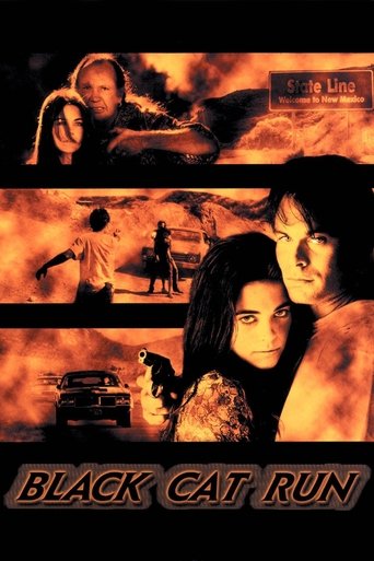 Official poster for فیلم Black Cat Run (1998)