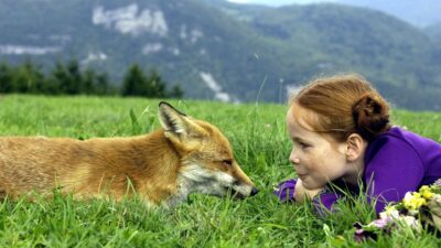 Teaser for The Fox and the Child