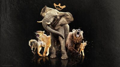 Teaser for Queens