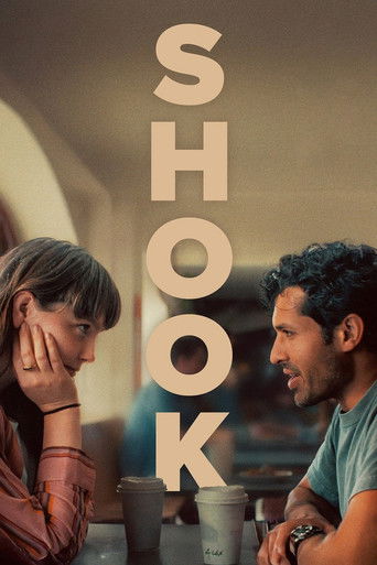پوستر رسمی فیلم Shook (2024)
