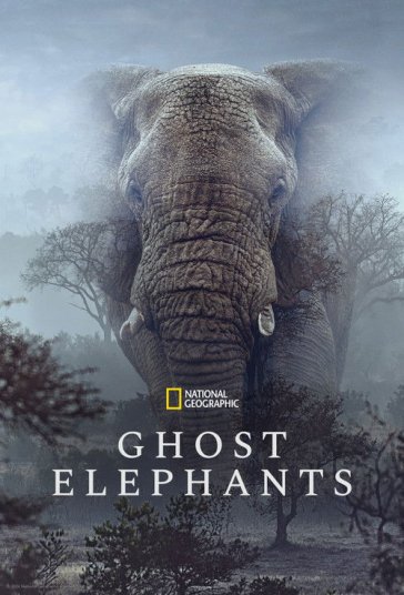 پوستر رسمی فیلم Ghost Elephants (2026)