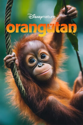 پوستر رسمی فیلم Orangutan (2026)