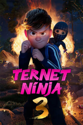 پوستر رسمی فیلم Checkered Ninja 3 (2025)