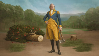 Teaser for Life, Larry and the Pursuit of Unhappiness: An almost History of America