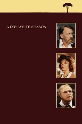 پوستر رسمی فیلم A Dry White Season (1989)