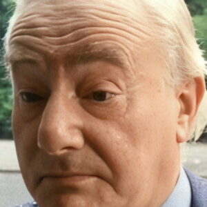Wim van den Brink