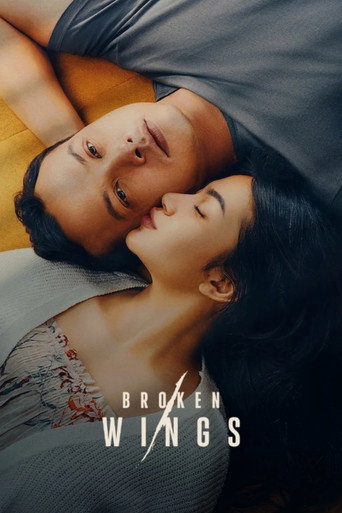 پوستر رسمی فیلم Broken Wings (2022)