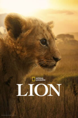 پوستر رسمی سریال Lion (2026)