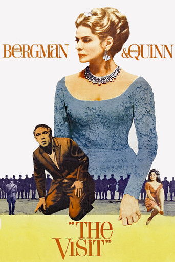 پوستر رسمی فیلم The Visit (1964)