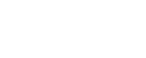 لوگوی رسمی سریال Everybody Loves Raymond (1996)
