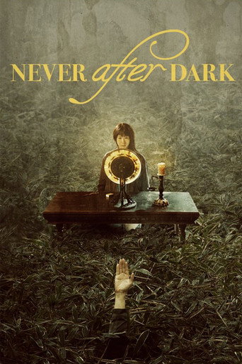 پوستر رسمی فیلم Never After Dark (2026)