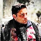 alireza fekri